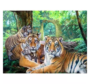 Раскраска по номерам 40*50см "Тигры" OPP (холст на раме краски+кисти)