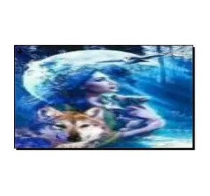 Алмазная мозаика по номерам 30*40 "Девушка и дельфин" карт уп. (холст на раме)