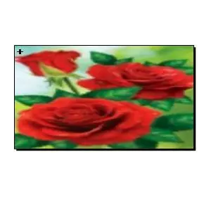 Алмазная мозаика по номерам 30*40 "Розы" карт уп. (холст на раме)