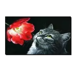 Алмазная мозаика по номерам 40*50 "Кошка с цветком" карт уп. (холст на раме)