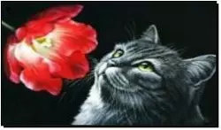 Алмазная мозаика по номерам 40*50 "Кошка с цветком" карт уп. (холст на раме)