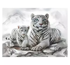 Раскраска по номерам 40*50см "Белый тигр" OPP (холст на раме краски+кисти)