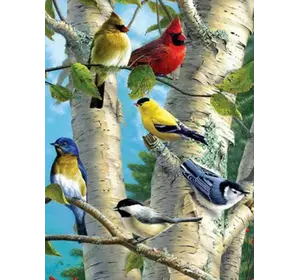 Розмальовка по номерах 30 * 40см "Пташки на дереві" OPP (полотно на рамі фарби. Кисті.)