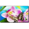 Алмазная мозаика по номерам 30*40 "Бабочка на орхидее" в рулоне