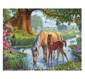 Алмазная мозаика по номерам 40*50 "Лошадь с детенышем" карт уп. (холст на раме)