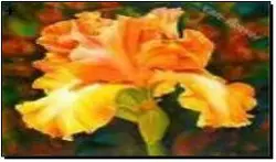 Алмазная мозаика по номерам 30*40 "Оранжевый цветок" в рулоне