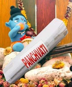 Panchwati 250 грам упаковка MP