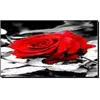 Алмазная мозаика по номерам 20*30см "Красная роза" карт уп. (холст на раме)