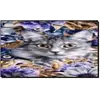 Алмазная мозаика по номерам 20*30 "Кошка" в рулоне