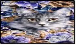 Алмазная мозаика по номерам 20*30 "Кошка" в рулоне
