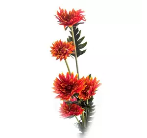 Квіти "Астра" (118 см)