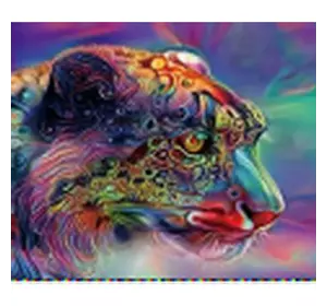 Алмазная мозаика по номерам 40*50 "Красочная пантера" карт уп. (холст на раме)