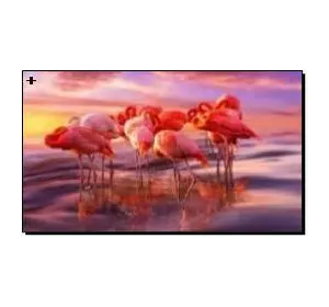 Алмазная мозаика по номерам 40*50 "Спящие фламинго" карт уп. (холст на раме)