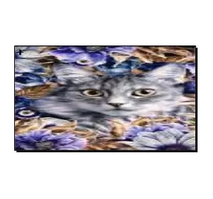 Алмазная мозаика по номерам 20*30см "Кот" карт уп. (холст на раме)