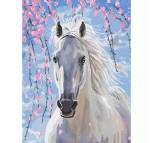 Раскраска по номерам 30*40см "Белая лошадь" OPP (холст на раме краски+кисти)