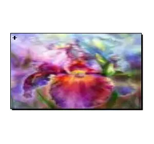 Алмазная мозаика по номерам 30*40 "Цветы" карт уп. (холст на раме)