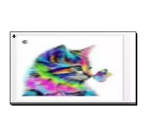 Алмазная мозаика по номерам 40*50 "Красочный котенок" карт уп. (холст на раме)
