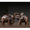 Пара слонів з Жуї