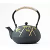 Чайник чавунний Тецубін із ситом "Цикада" 1100 мл. 19*16*20см. 1710