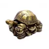 Черепаха на монетах під бронзу