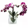 Орхідея в склі (35х21х8,5 см)