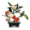 Дерево персик (5 плодів)(23х24х13 см)(A02)