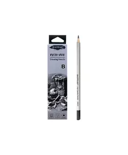 Набір чорнографітових олівців Acmeliae "Artmate" B,2.4mm 12 шт./етик.