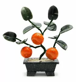 Дерево мандарин (3 плода)(18х19х7 см)