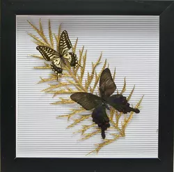 Метелики в рамці "На листі" (30,5х30,5х3,5 см)(X06)