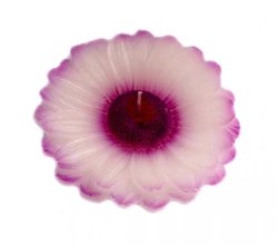 Свічка - квітка "Фіолетова маргаритка"
