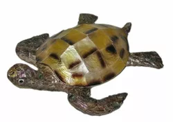 Нічник черепаха