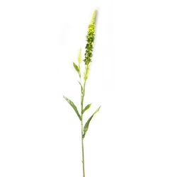 Квітка "Аліссум" (89 см)