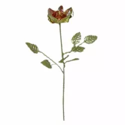 Роза бронзова (20 см)