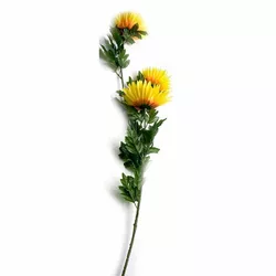 Квітка "Астра" (109 см)