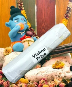 Vishnu Priya 250 грамм упаковка MP