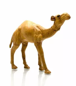 Верблюд шкіра (17,5х16,5х4,5 см)(6")