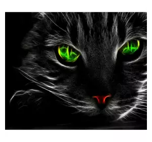 Раскраска по номерам 30*40см "Черная кошка" OPP (холст на раме краски+кисти)
