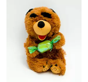 М'яка іграшка озвучена ведмідь з цукеркою №2119-20