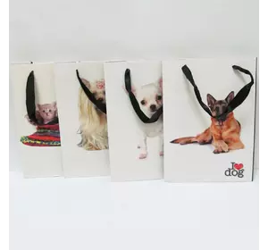 Пакет папір "Тварини" mix4