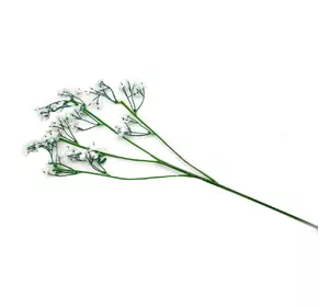 Квіти "Спірея" (62 см) (12 шт/уп)