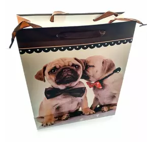 Пакет подарунковий картонний "Кішки і Собаки" (32х26х10 см)