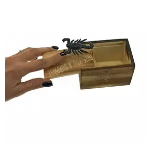 Скорпион в коробке (9,5х6х6,5 см)