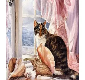 Алмазна мозаїка за номерами 40*50 "Кіт на підвіконні" карт уп. (полотно на рамі)