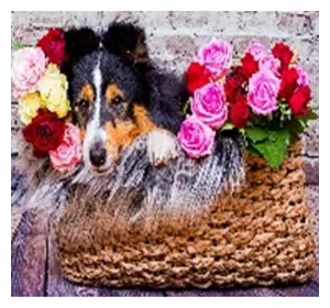 Алмазна мозаїка за номерами 40*50 "Собака з квітами" карт уп. (полотно на рамі)