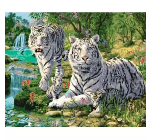 Раскраска по номерам 30*40см "Белые тигры" OPP (холст на раме краски+кисти)