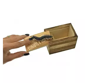 Скалапендра в коробке (9,5х6х6,5 см)