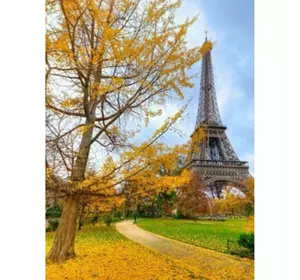 Розмальовка за номерами 40*50см "Осінь у Парижі" карт.уп (полотно на рамі фарби+кисті)