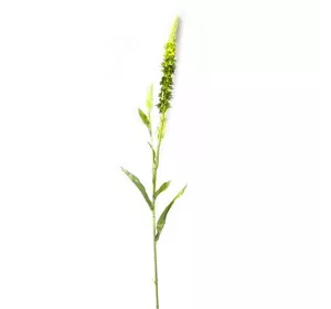 Квітка "Аліссум" (89 см)