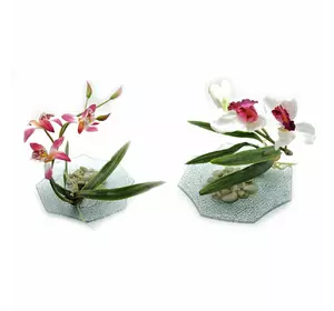 Квітка орхідеї на скляній підставці (d-18,5 см)