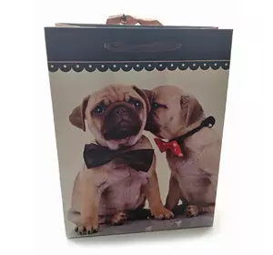 Пакет подарунковий картонний "Кішки і Собаки" (18х23х8 см)